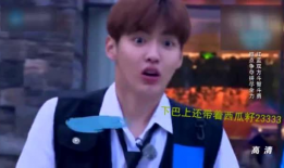 吴亦凡视频,揭秘明星背后的真实生活